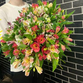 Букет из 35 альстромерий микс под ленту