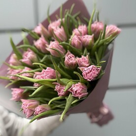 Пионовидные тюльпаны