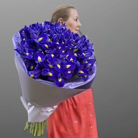 Букет ирисов 25 штук