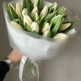 Тюльпаны белые 19 штук