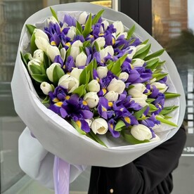 Большой букет синих ирисов и белых тюльпанов