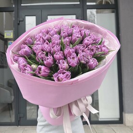 Тюльпаны пионовидные 51 штука