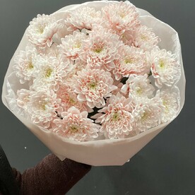 Букет пухляш #14