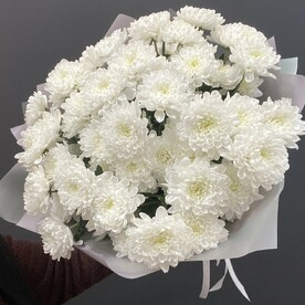 Букет 7 кустовых хризантем #21