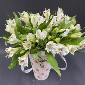 Букет альстромерий в коробке #29