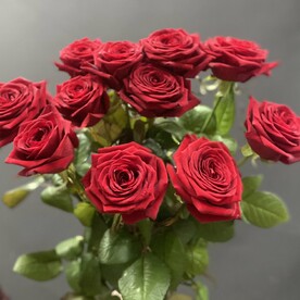 11 ароматных роз🌹#33