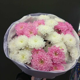 Семь кустовых хризантем в нежном оформлении #45