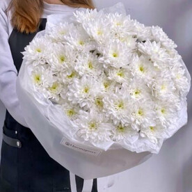 Нежное облако из кустовых хризантем #46