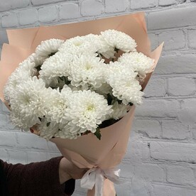 Белоснежные хризантемы