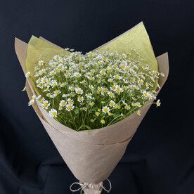 Букет ромашек «Летняя любовь»