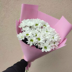 Хризантема - Ромашка