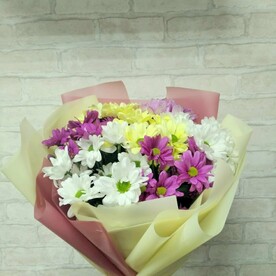 Разноцветные хризантемы