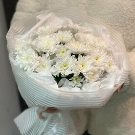 Белоснежная хризантема