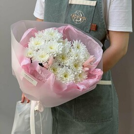 Нежная хризантема