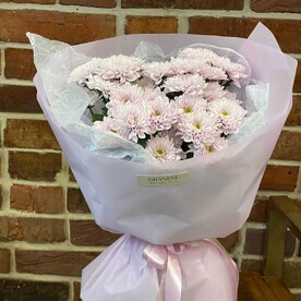 Нежная розовая хризантема