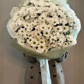 Большой букет хризантемы ромашки