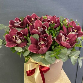 Орхидея с эвкалиптом в коробке