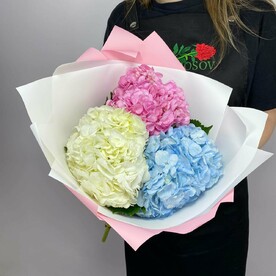 Букет из 3 разных гортензий