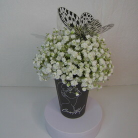 Гипсофила в крафтовом стаканчике "Прекрасная"