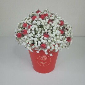 Композиция из гипсофилы в стаканчике "Морозная клюква"