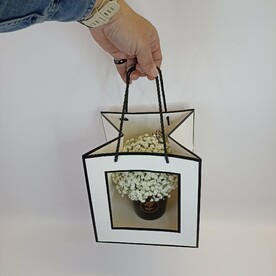 Стаканчик с гипсофилой "Black and White"