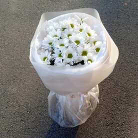 Букет хризантемы Бакарди "Белоснежный"