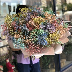 51 ГИПСОФИЛА 😍