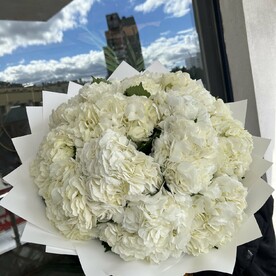 Белые Гортензии 21 шт