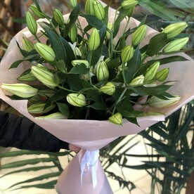 Лилия букет 9 шт