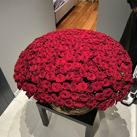 Цветы в корзине 501 Роза