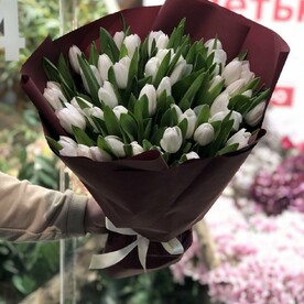 Букет из 51 белых тюльпанов