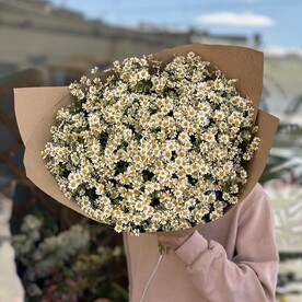 Букет из 25 Ромашек 😍