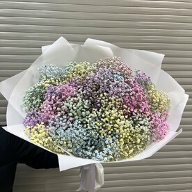 Гипсофилы Радужные 25 шт