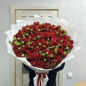 Букет 51 красная кустовая Роза