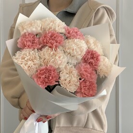 15 диантусов в белой упаковке