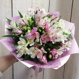 Нежность альстромерий