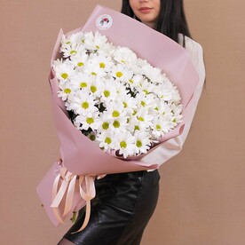 9 веток хризантемовой ромашки