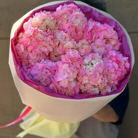 Букет из 9 гортензий Chantal Вихрь чувств