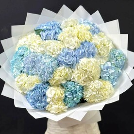 Букет из 25 гортензий Chantal Зефир