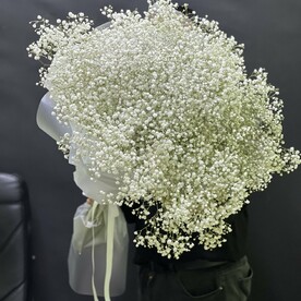 Гипсофилы белоснежные