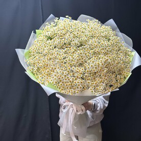 Кустовые ромашки 51 шт