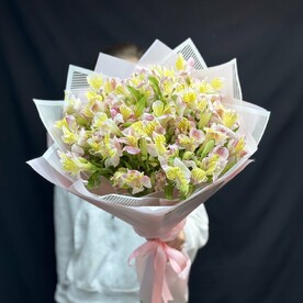 Нежность Альстромерии