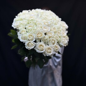 Белые розы 51 шт🌹