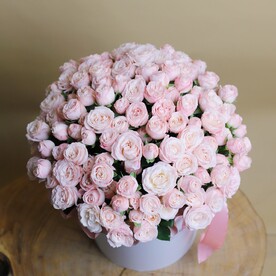 Большой букет в коробке из пионовидных роз Бомбастик