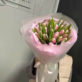 Нежные тюльпаны