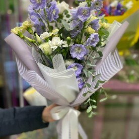 Дельфиниум