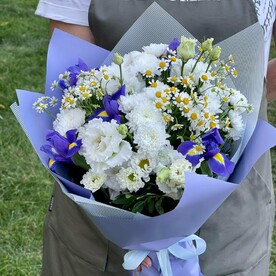 Синеглазка