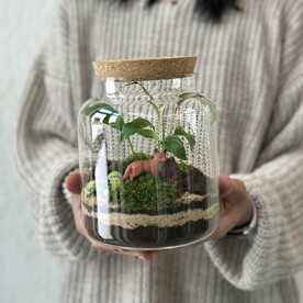 Закрытый флорариум