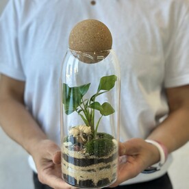 Флорариум с живым мхом