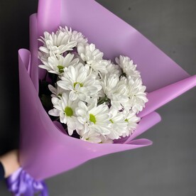 Хризантема ромашки в букете